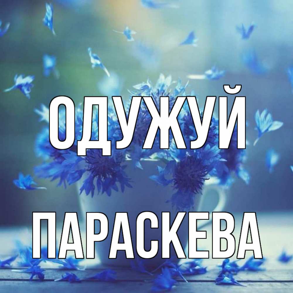 Открытка на каждый день з підписом, Параскева Одужуй кружка с зельем и цветами Прикольна листівка з побажанням онлайн скачати безкоштовно 