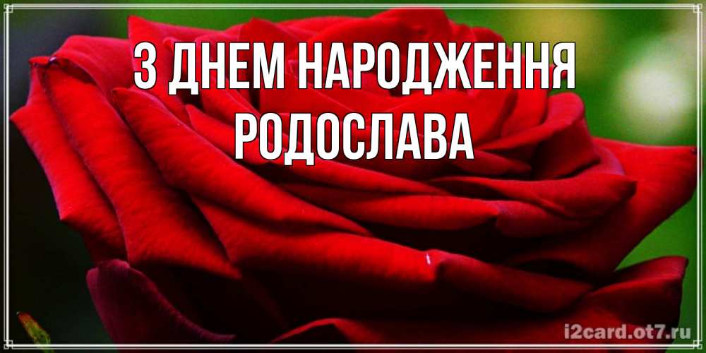 Открытка на каждый день з підписом, Родослава З Днем народження розочка очень красивая Прикольна листівка з побажанням онлайн скачати безкоштовно 