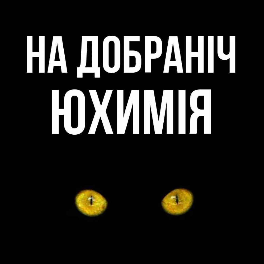 Открытка на каждый день з підписом, Юхимія На добраніч сладких снов бесстрашный мой дружочек Прикольна листівка з побажанням онлайн скачати безкоштовно 