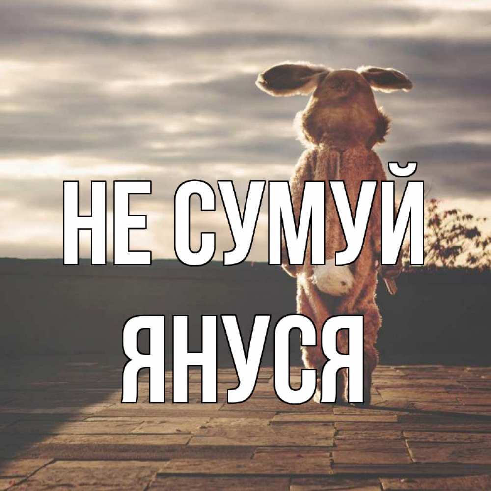Открытка на каждый день з підписом, Януся Не сумуй со спины Прикольна листівка з побажанням онлайн скачати безкоштовно 