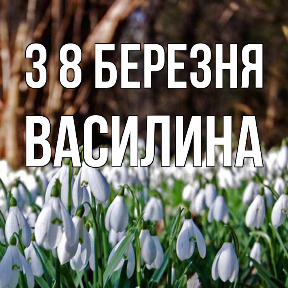 Открытка на каждый день з підписом, Василина З 8 БЕРЕЗНЯ с подснежниками 1 Прикольна листівка з побажанням онлайн скачати безкоштовно 