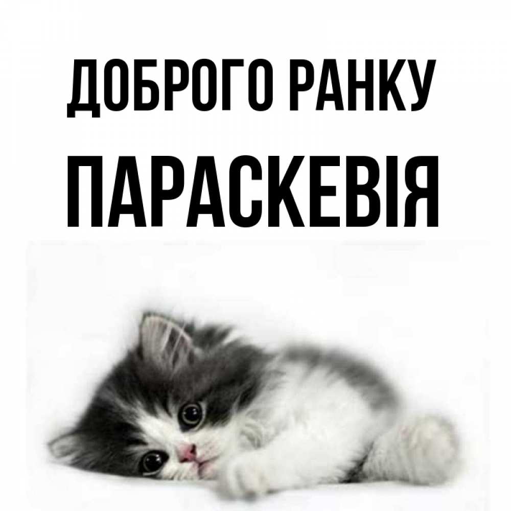 Открытка на каждый день з підписом, Параскевія Доброго ранку кот лапки Прикольна листівка з побажанням онлайн скачати безкоштовно 