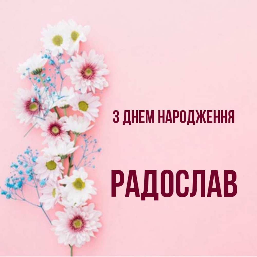 Открытка на каждый день з підписом, Радослав З Днем народження Родная моя с днем рождения тебя картинка с цветами белыми и голубыми Прикольна листівка з побажанням онлайн скачати безкоштовно 
