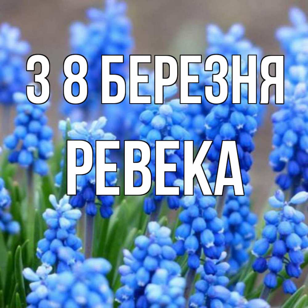 Открытка на каждый день з підписом, Ревека З 8 БЕРЕЗНЯ Поздравительная открытка для женщин с цветами на праздничную дату Прикольна листівка з побажанням онлайн скачати безкоштовно 