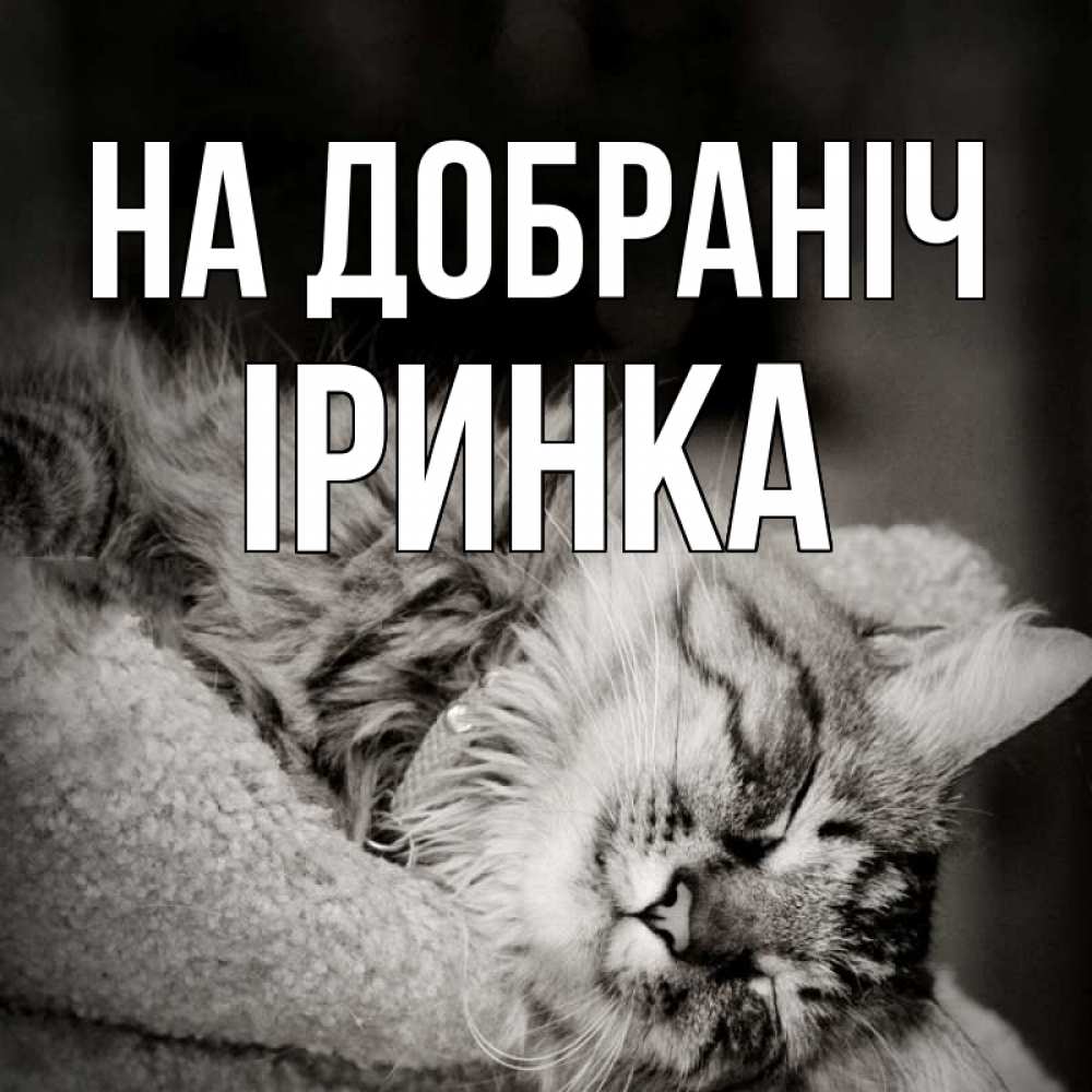 Открытка на каждый день з підписом, Іринка На добраніч котярик пушистый Прикольна листівка з побажанням онлайн скачати безкоштовно 