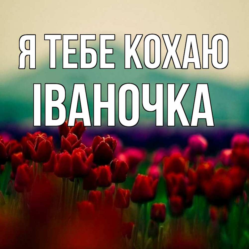 Открытка на каждый день з підписом, Іваночка Я тебе кохаю тюльпаны 4 Прикольна листівка з побажанням онлайн скачати безкоштовно 