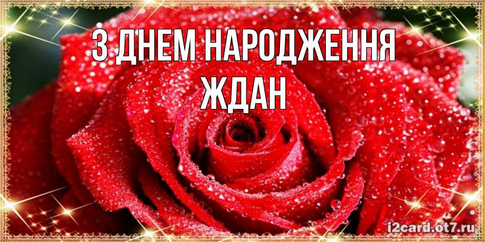 Открытка на каждый день з підписом, Ждан З Днем народження роса и роза. открытка с красивой розой Прикольна листівка з побажанням онлайн скачати безкоштовно 