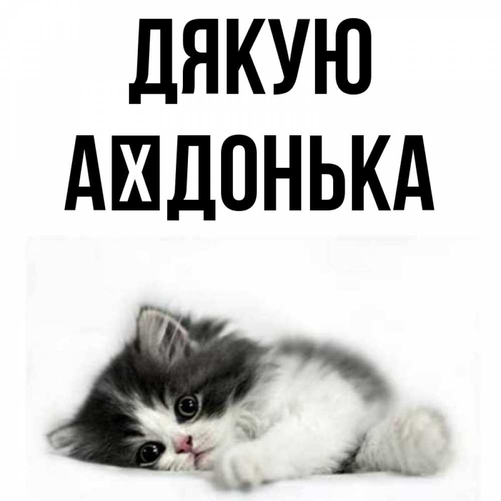 Открытка на каждый день з підписом, Аїдонька Дякую черный и белый кот Прикольна листівка з побажанням онлайн скачати безкоштовно 