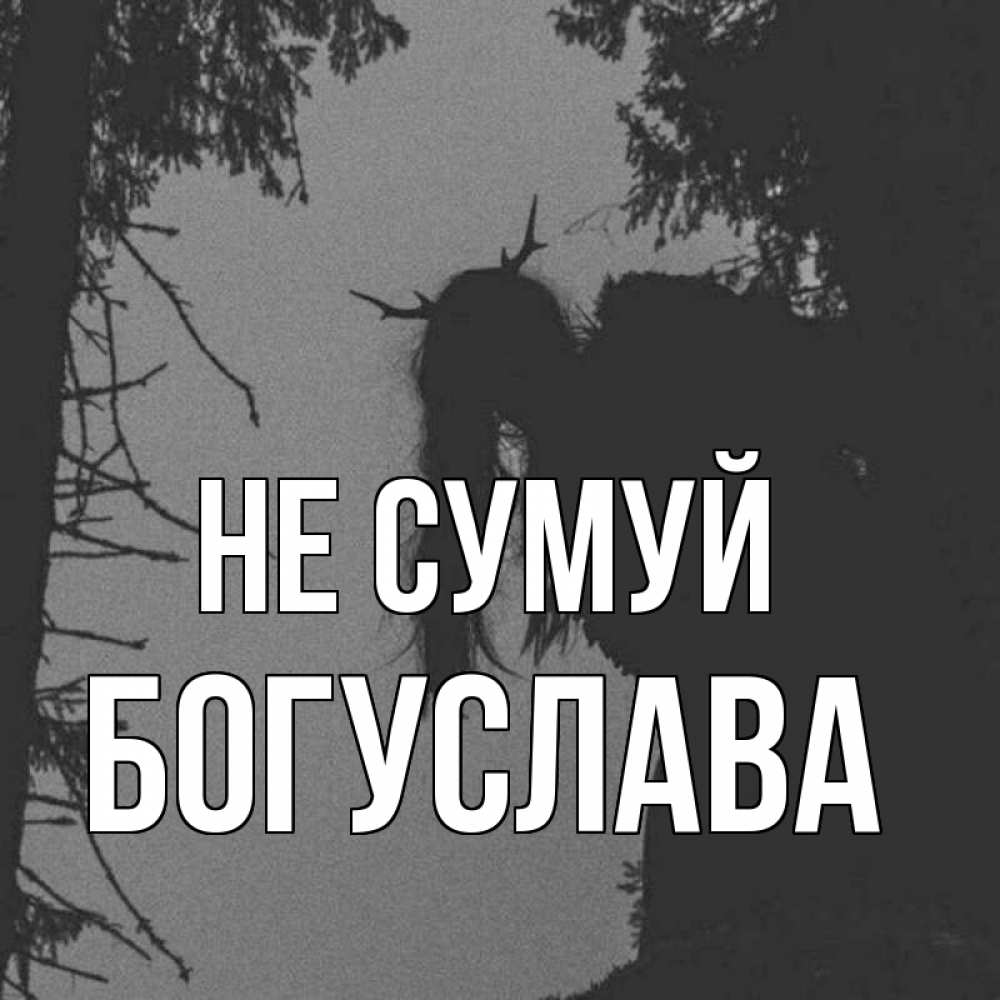 Открытка на каждый день з підписом, Богуслава Не сумуй чудище лесное Прикольна листівка з побажанням онлайн скачати безкоштовно 
