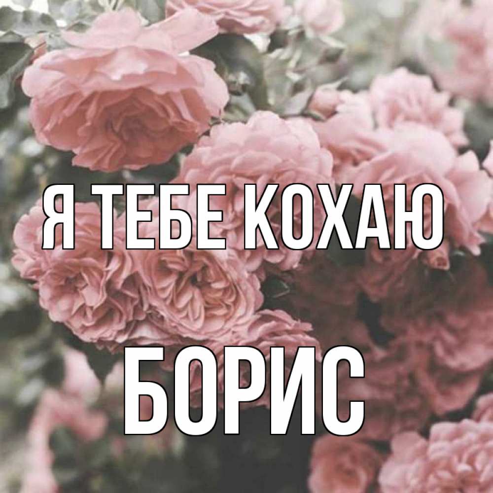 Открытка на каждый день з підписом, Борис Я тебе кохаю розы 3 Прикольна листівка з побажанням онлайн скачати безкоштовно 