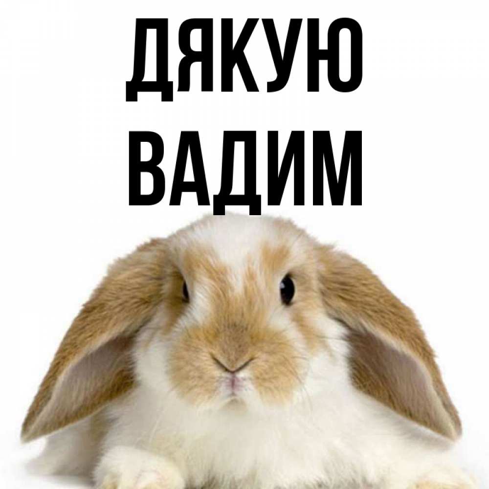 Открытка на каждый день з підписом, Вадим Дякую коричнево белый заяц Прикольна листівка з побажанням онлайн скачати безкоштовно 