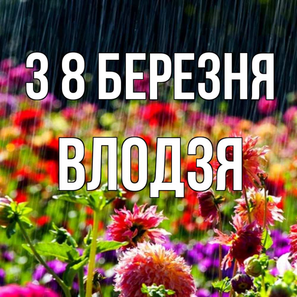 Открытка на каждый день з підписом, Влодзя З 8 БЕРЕЗНЯ цветы под дождиком к международному женскому дню Прикольна листівка з побажанням онлайн скачати безкоштовно 