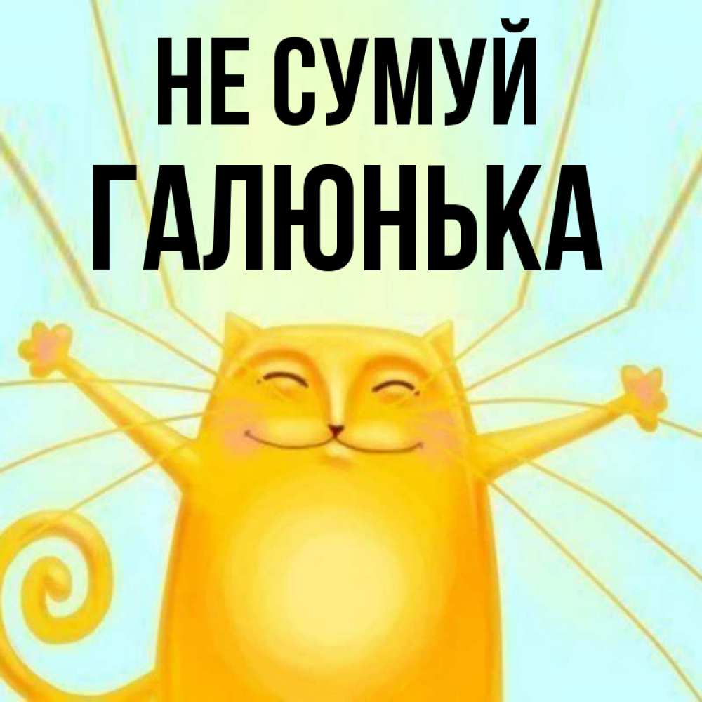 Открытка на каждый день з підписом, Галюнька Не сумуй обнимашки усатые Прикольна листівка з побажанням онлайн скачати безкоштовно 