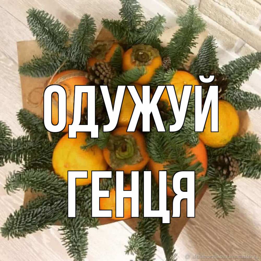 Открытка на каждый день з підписом, Генця Одужуй апельсины и хурьма Прикольна листівка з побажанням онлайн скачати безкоштовно 
