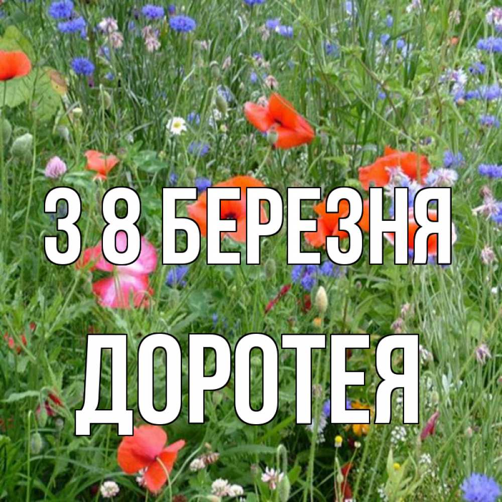 Открытка на каждый день з підписом, Доротея З 8 БЕРЕЗНЯ международный женский день 4 Прикольна листівка з побажанням онлайн скачати безкоштовно 