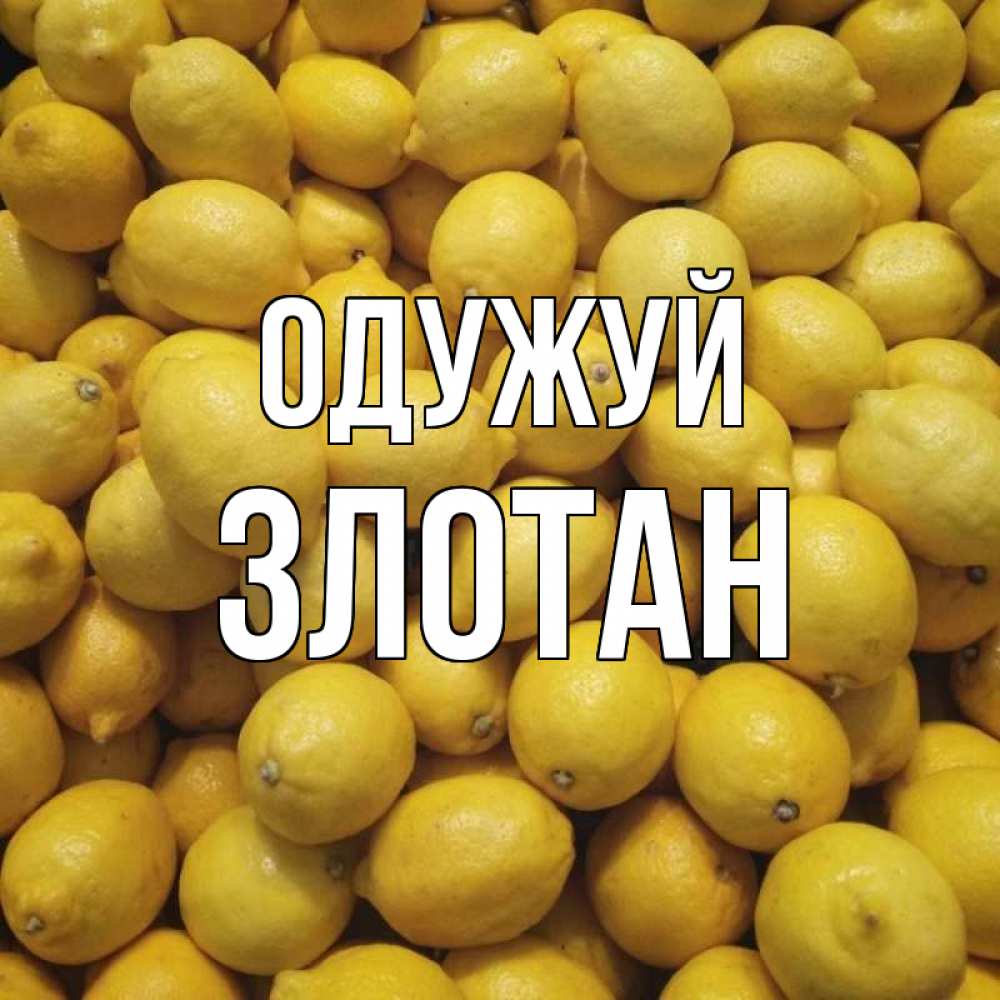 Открытка на каждый день з підписом, Злотан Одужуй это точно поможет Прикольна листівка з побажанням онлайн скачати безкоштовно 