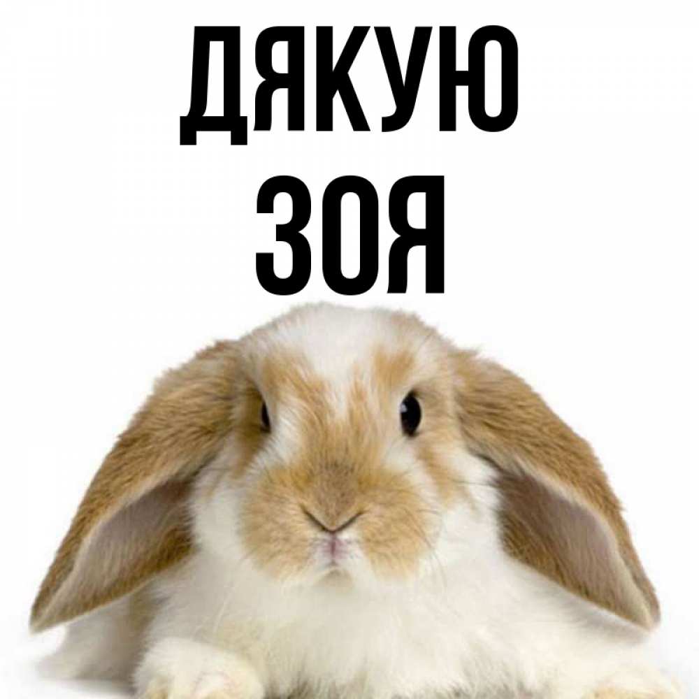 Открытка на каждый день з підписом, Зоя Дякую коричнево белый заяц Прикольна листівка з побажанням онлайн скачати безкоштовно 