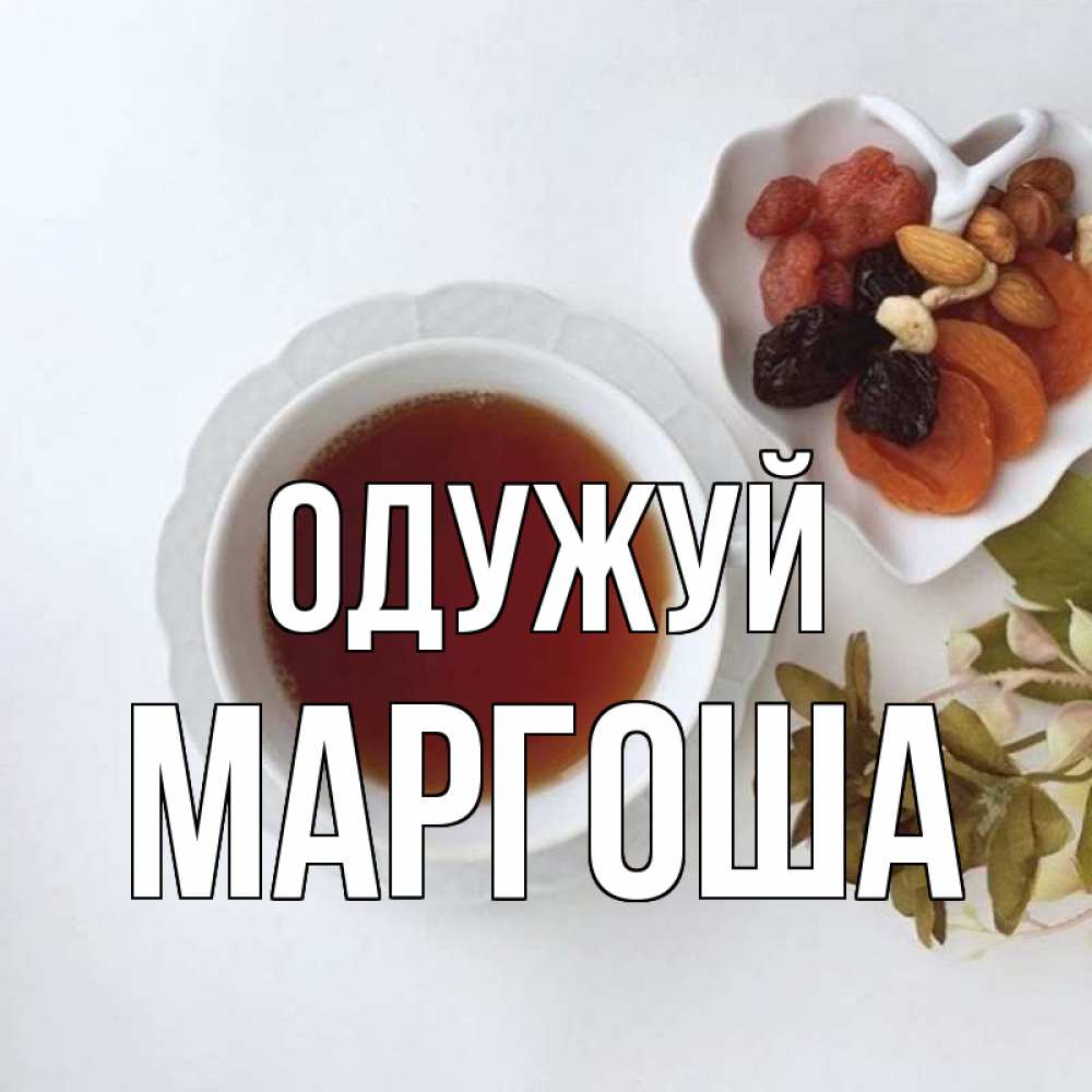 Открытка на каждый день з підписом, Маргоша Одужуй неизвестные растения Прикольна листівка з побажанням онлайн скачати безкоштовно 