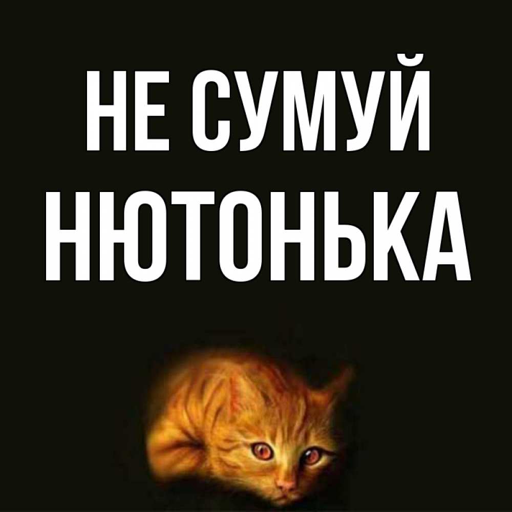 Открытка на каждый день з підписом, Нютонька Не сумуй лежащий кот в темноте Прикольна листівка з побажанням онлайн скачати безкоштовно 