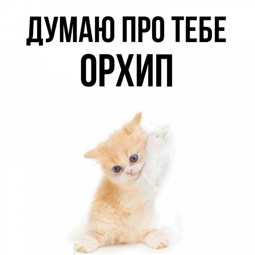 Открытка на каждый день з підписом, Орхип Думаю про тебе зверушки и милота Прикольна листівка з побажанням онлайн скачати безкоштовно 