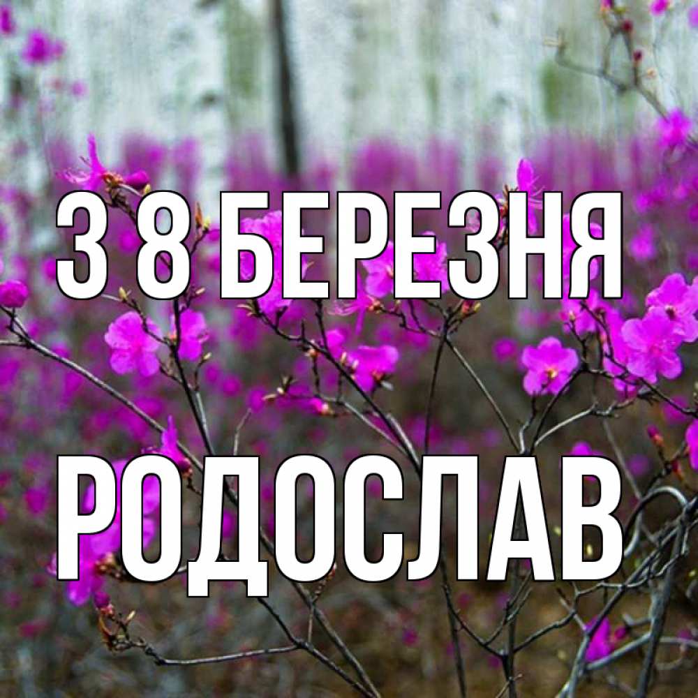 Открытка на каждый день з підписом, Родослав З 8 БЕРЕЗНЯ дикие цветы Прикольна листівка з побажанням онлайн скачати безкоштовно 