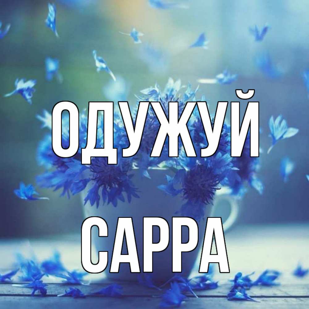 Открытка на каждый день з підписом, Сарра Одужуй кружка с зельем и цветами Прикольна листівка з побажанням онлайн скачати безкоштовно 