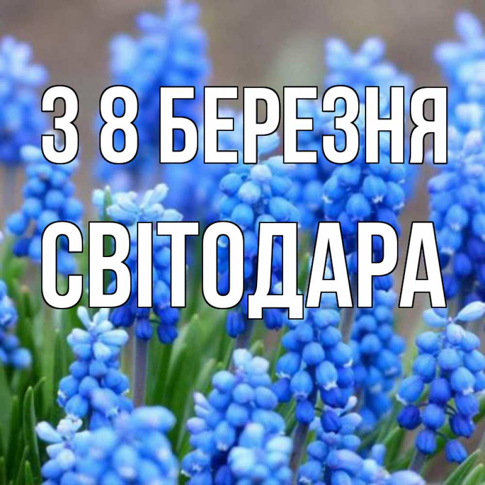 Открытка на каждый день з підписом, Світодара З 8 БЕРЕЗНЯ Поздравительная открытка для женщин с цветами на праздничную дату Прикольна листівка з побажанням онлайн скачати безкоштовно 