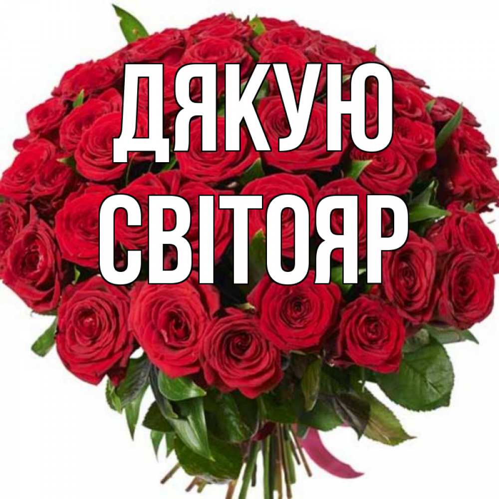 Открытка на каждый день з підписом, Світояр Дякую букет красных роз Прикольна листівка з побажанням онлайн скачати безкоштовно 