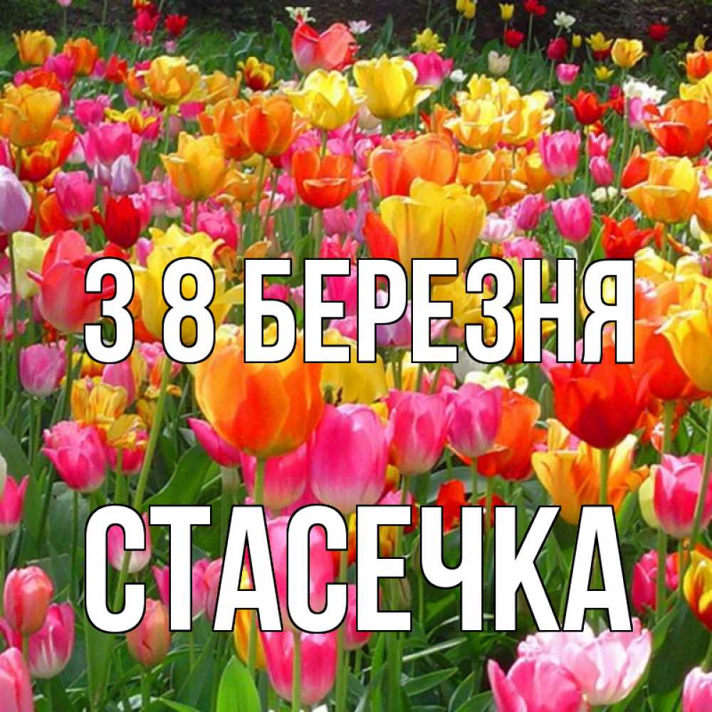 Открытка на каждый день з підписом, Стасечка З 8 БЕРЕЗНЯ на международный женский день Прикольна листівка з побажанням онлайн скачати безкоштовно 
