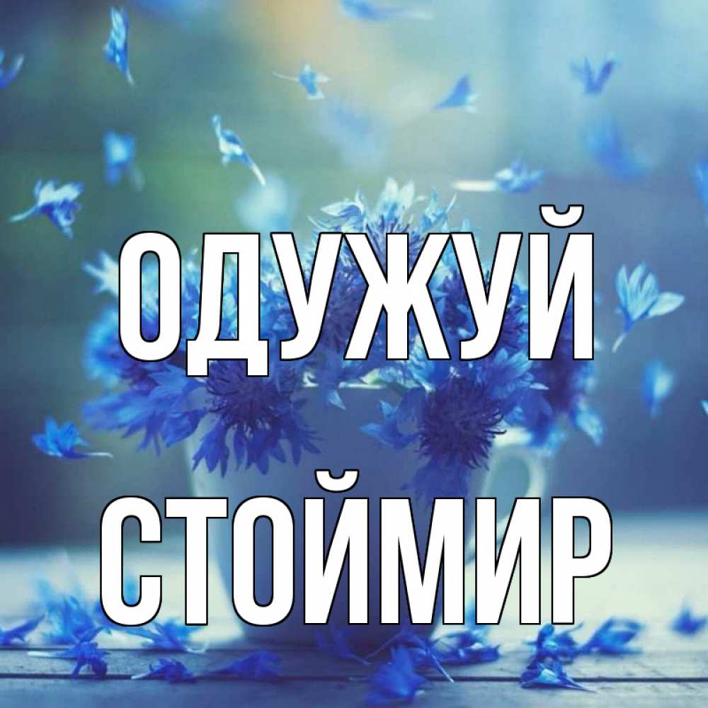 Открытка на каждый день з підписом, Стоймир Одужуй кружка с зельем и цветами Прикольна листівка з побажанням онлайн скачати безкоштовно 