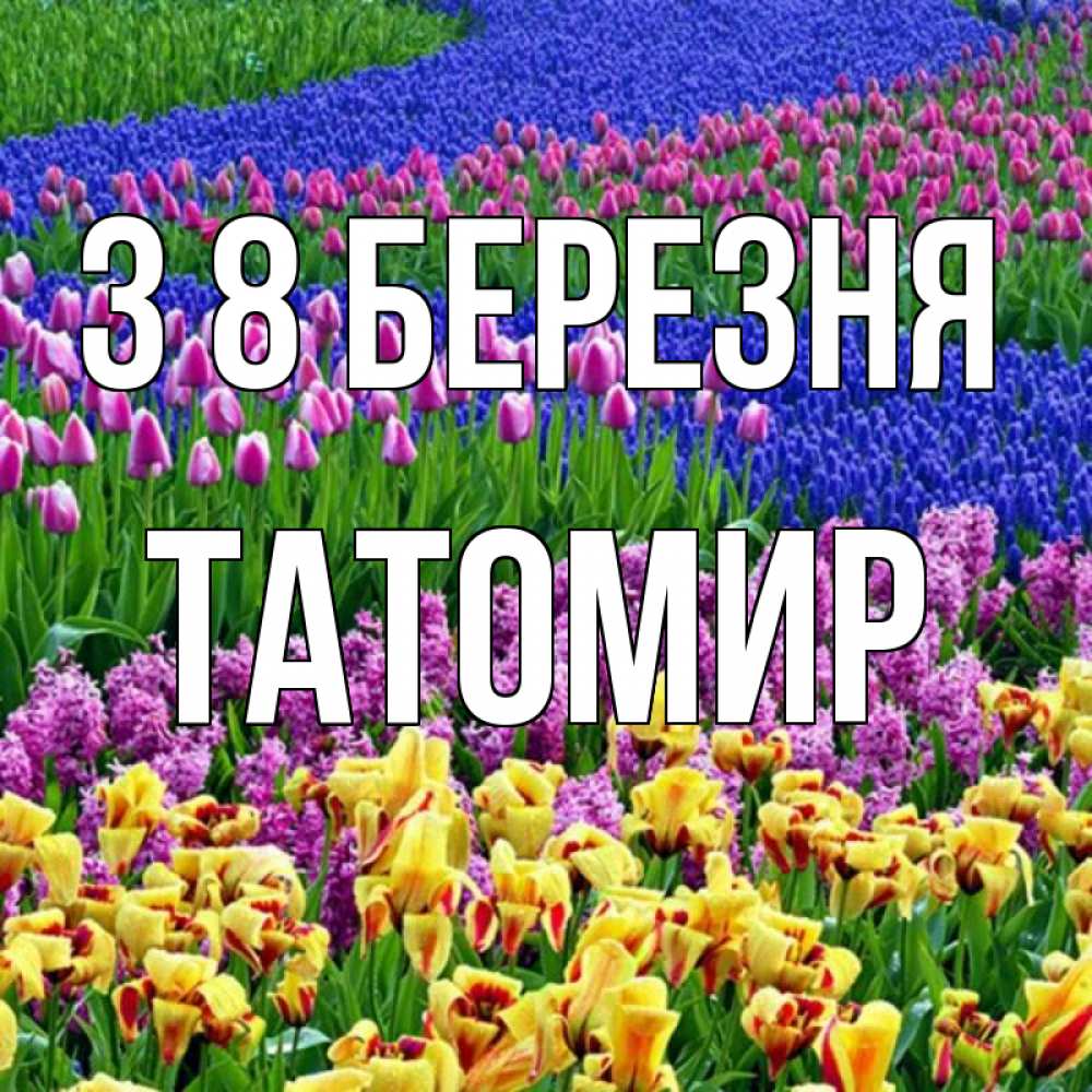 Открытка на каждый день з підписом, Татомир З 8 БЕРЕЗНЯ цветы Прикольна листівка з побажанням онлайн скачати безкоштовно 
