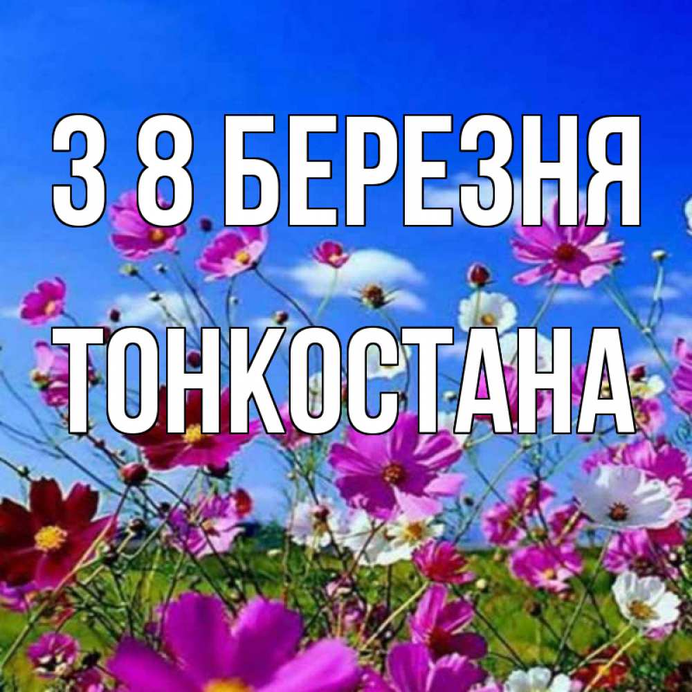 Открытка на каждый день з підписом, Тонкостана З 8 БЕРЕЗНЯ цветы Прикольна листівка з побажанням онлайн скачати безкоштовно 
