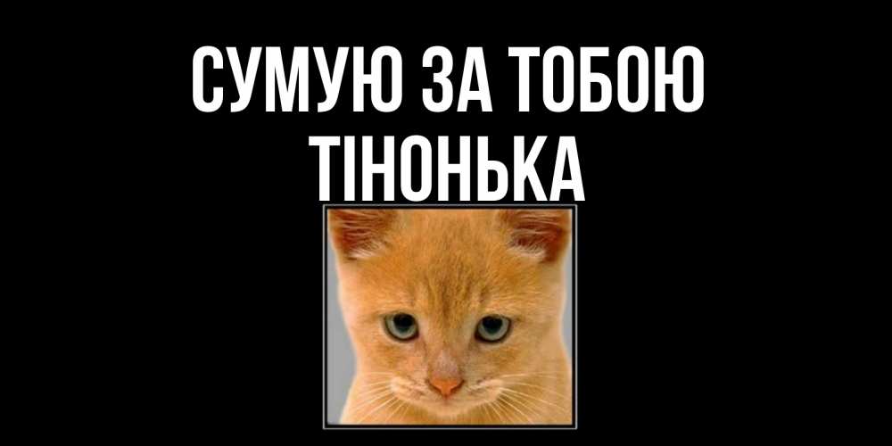 Открытка на каждый день з підписом, Тінонька Сумую за тобою открытки рыжий котенок скучает по тебе Прикольна листівка з побажанням онлайн скачати безкоштовно 
