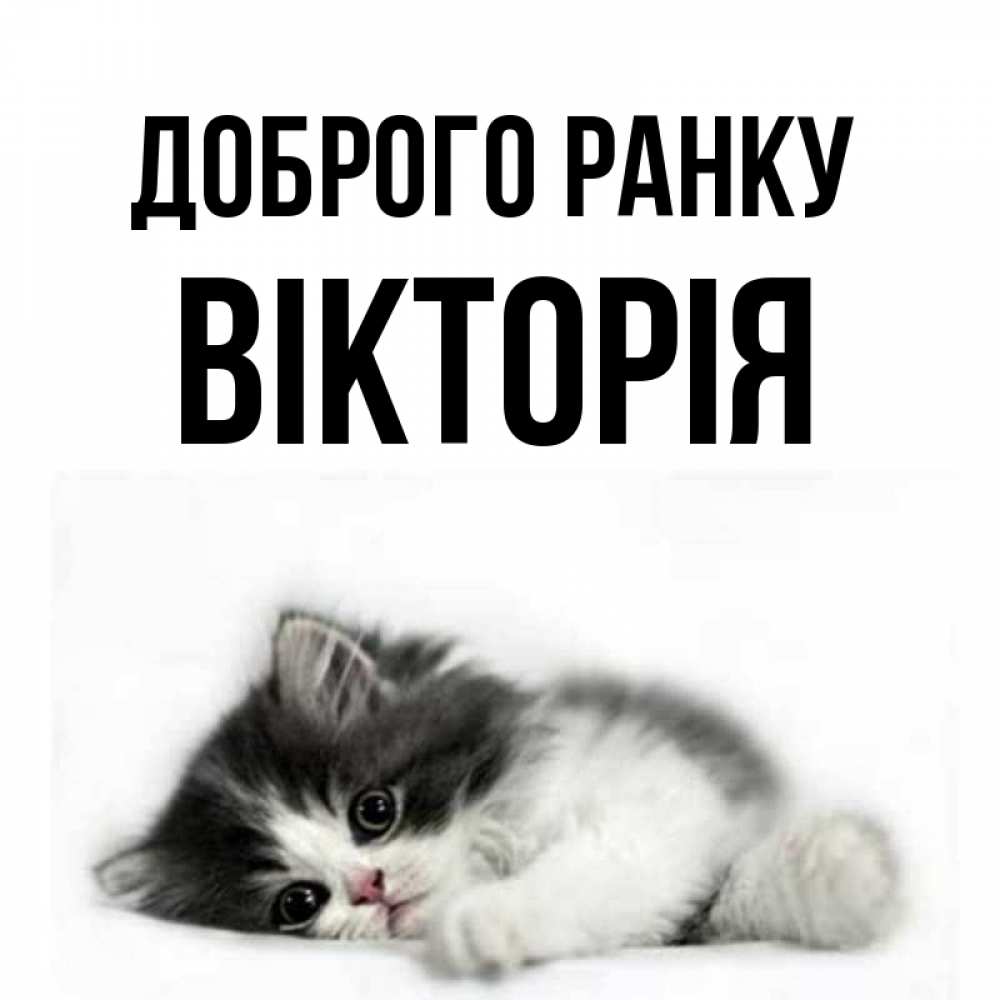Открытка на каждый день з підписом, Вікторія Доброго ранку кот лапки Прикольна листівка з побажанням онлайн скачати безкоштовно 