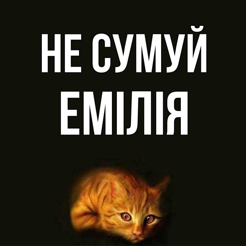 Открытка на каждый день з підписом, Емілія Не сумуй лежащий кот в темноте Прикольна листівка з побажанням онлайн скачати безкоштовно 