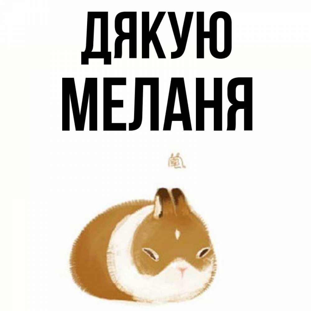 Открытка на каждый день з підписом, Меланя Дякую коричнево белый домашний питомец Прикольна листівка з побажанням онлайн скачати безкоштовно 