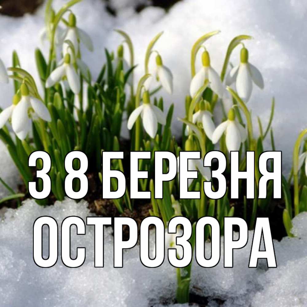 Открытка на каждый день з підписом, Острозора З 8 БЕРЕЗНЯ цветы весенние Прикольна листівка з побажанням онлайн скачати безкоштовно 