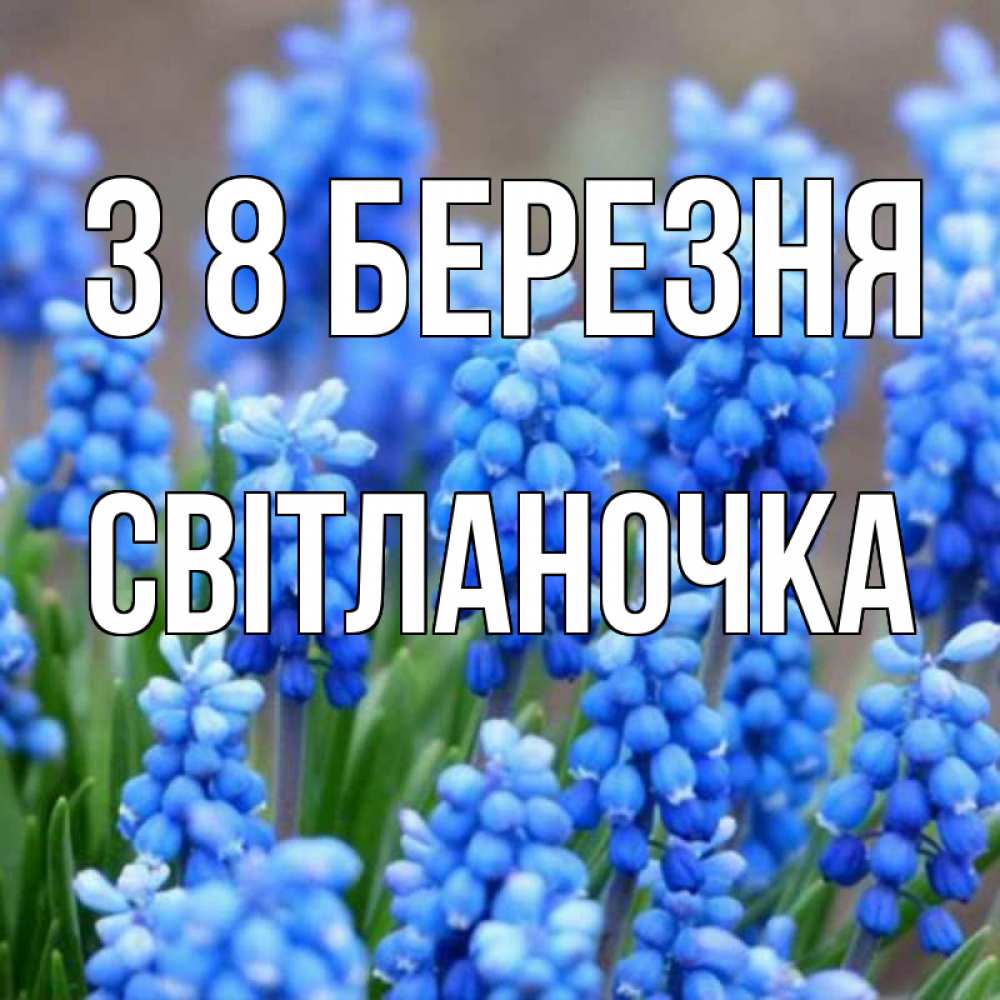 Открытка на каждый день з підписом, Світланочка З 8 БЕРЕЗНЯ Поздравительная открытка для женщин с цветами на праздничную дату Прикольна листівка з побажанням онлайн скачати безкоштовно 