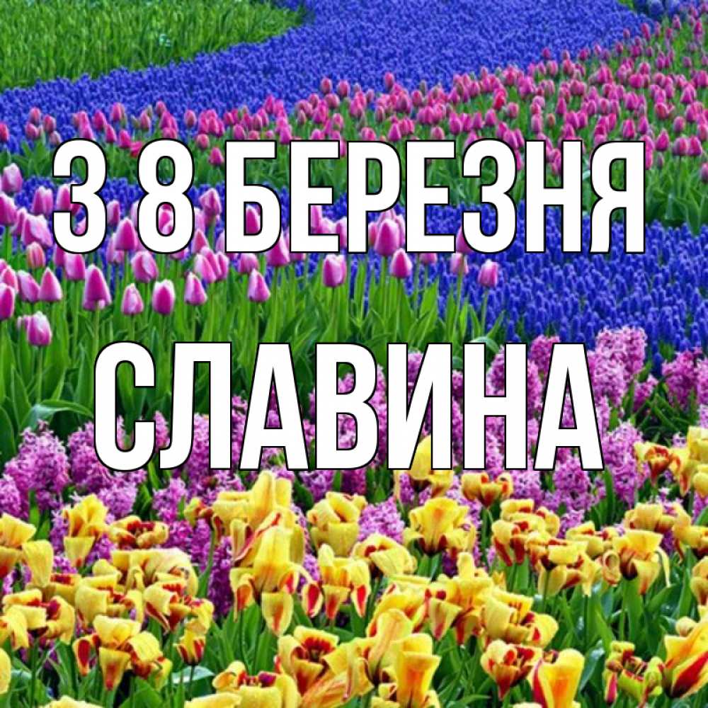 Открытка на каждый день з підписом, Славина З 8 БЕРЕЗНЯ цветы Прикольна листівка з побажанням онлайн скачати безкоштовно 