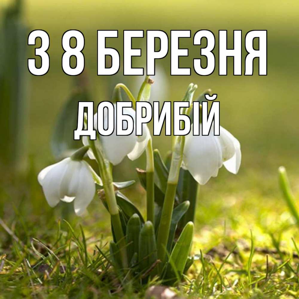 Открытка на каждый день з підписом, Добрибій З 8 БЕРЕЗНЯ ранние цветы 2 Прикольна листівка з побажанням онлайн скачати безкоштовно 