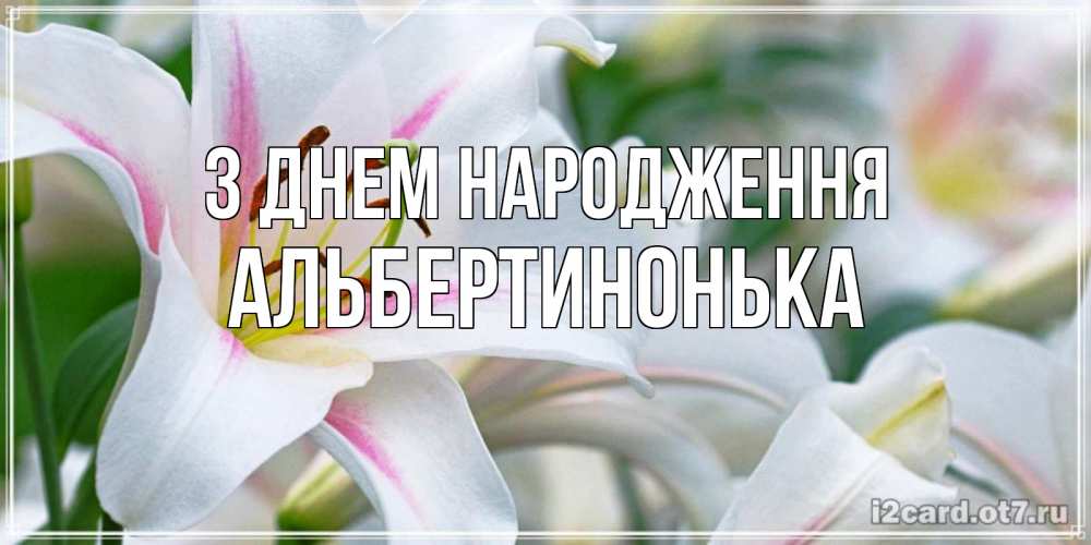 Открытка на каждый день з підписом, Альбертинонька З Днем народження открытка с белой лилией Прикольна листівка з побажанням онлайн скачати безкоштовно 