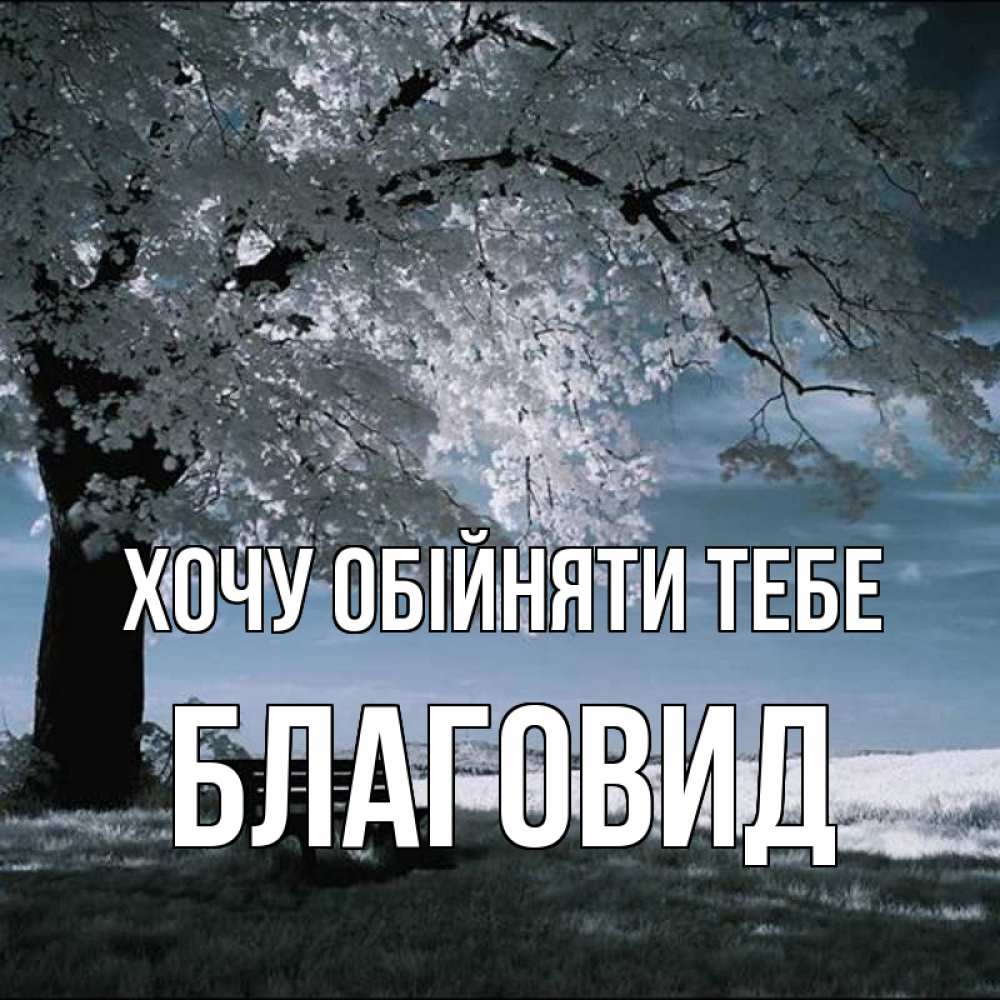 Открытка на каждый день з підписом, Благовид Хочу обійняти тебе дерево Прикольна листівка з побажанням онлайн скачати безкоштовно 