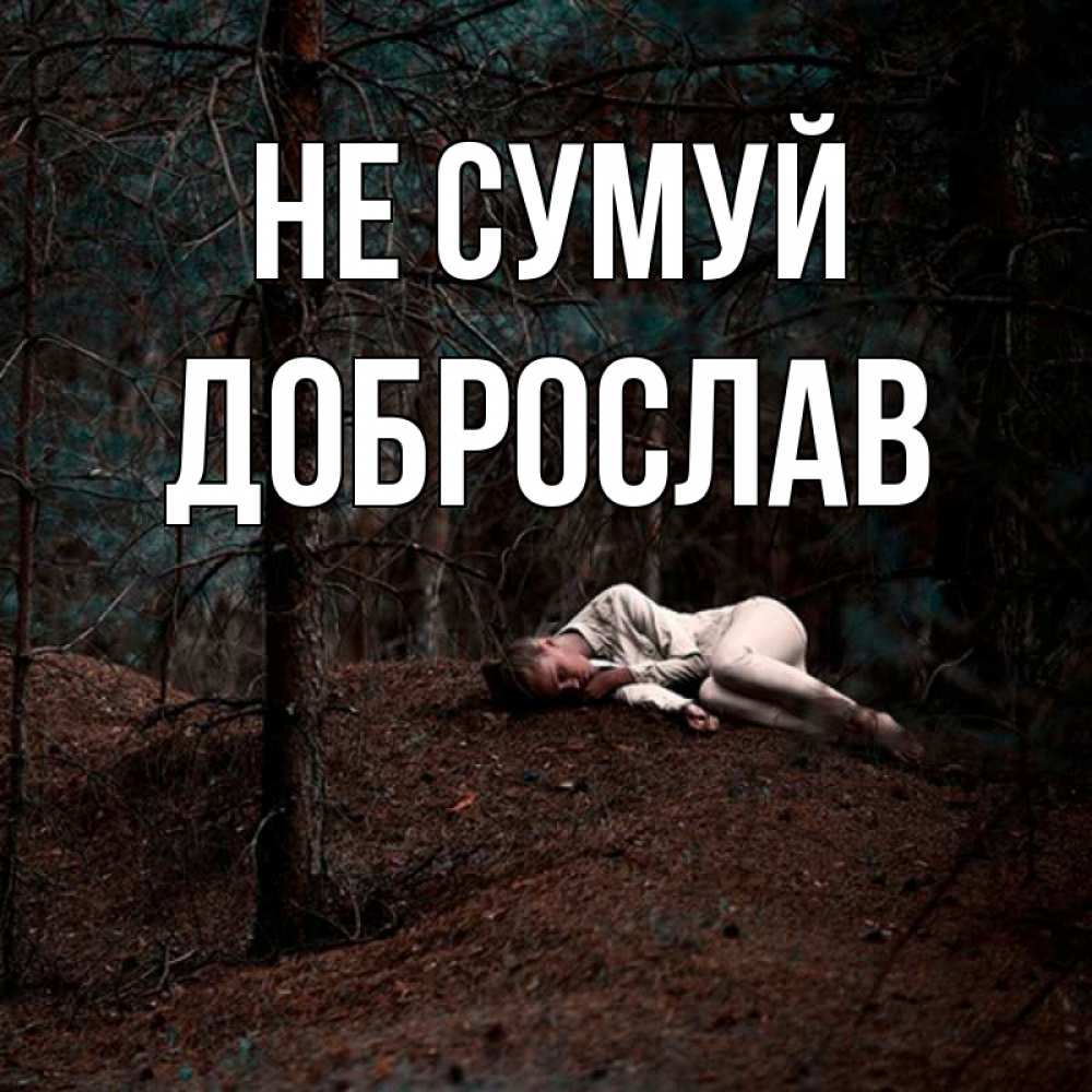 Открытка на каждый день з підписом, Доброслав Не сумуй лес Прикольна листівка з побажанням онлайн скачати безкоштовно 