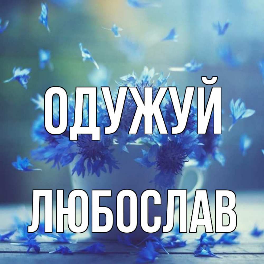Открытка на каждый день з підписом, Любослав Одужуй кружка с зельем и цветами Прикольна листівка з побажанням онлайн скачати безкоштовно 