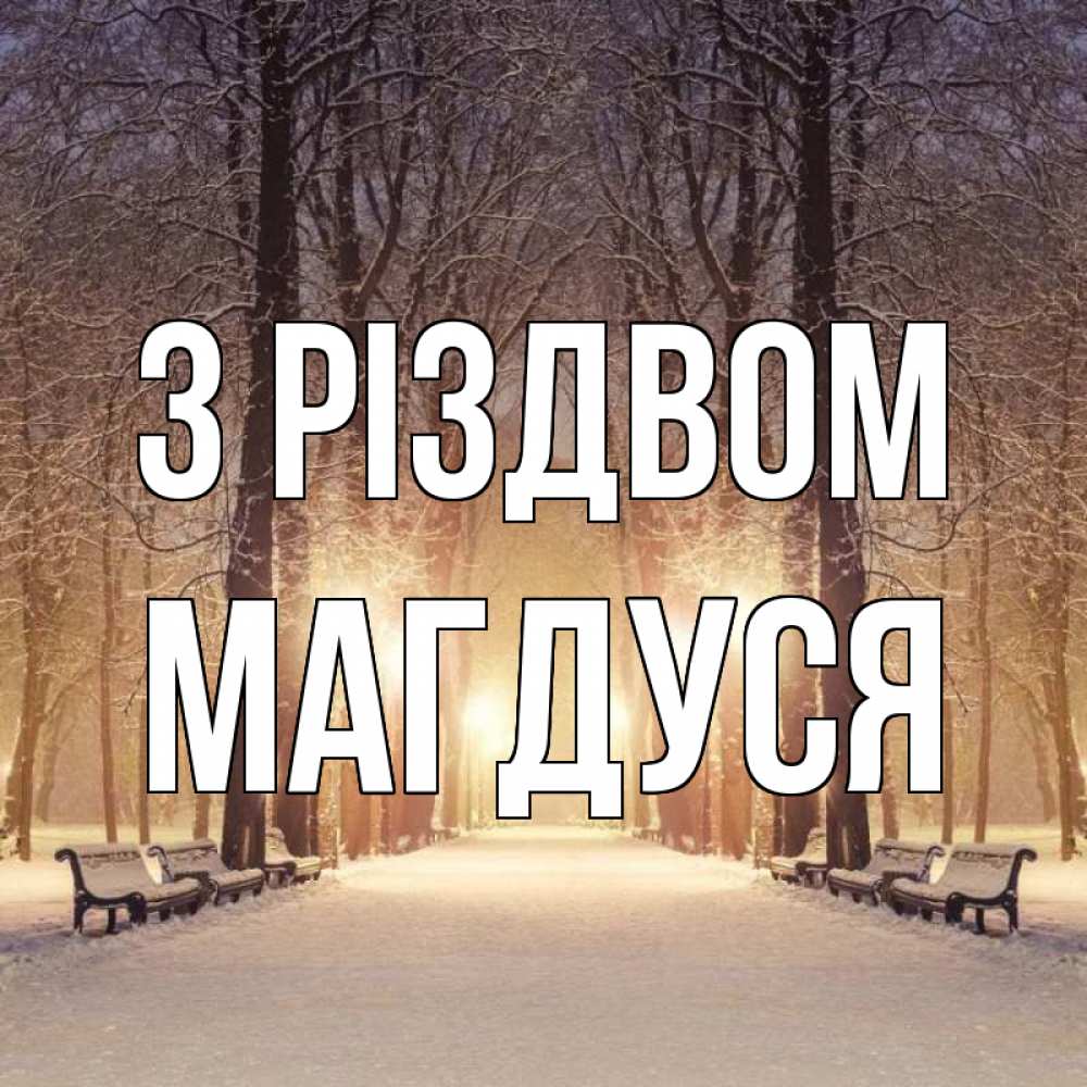 Открытка на каждый день з підписом, Магдуся З Різдвом зима, парк, фонарь, лес Прикольна листівка з побажанням онлайн скачати безкоштовно 