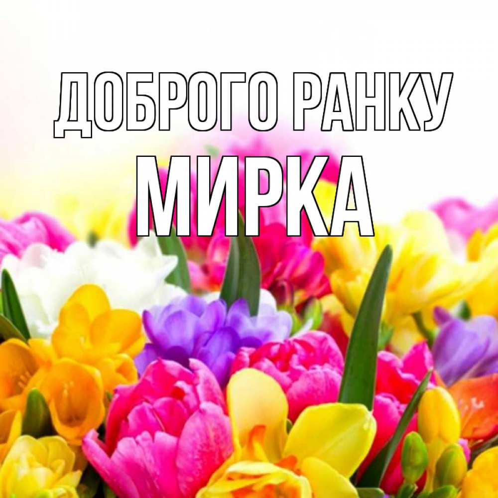 Открытка на каждый день з підписом, Мирка Доброго ранку создать открытку со свое подписью Прикольна листівка з побажанням онлайн скачати безкоштовно 