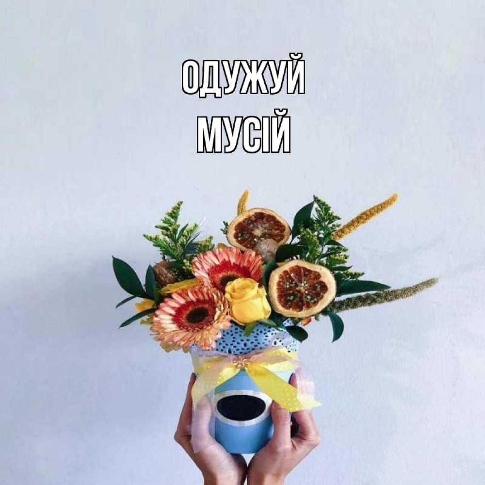 Открытка на каждый день з підписом, Мусій Одужуй в руках букет полезный Прикольна листівка з побажанням онлайн скачати безкоштовно 