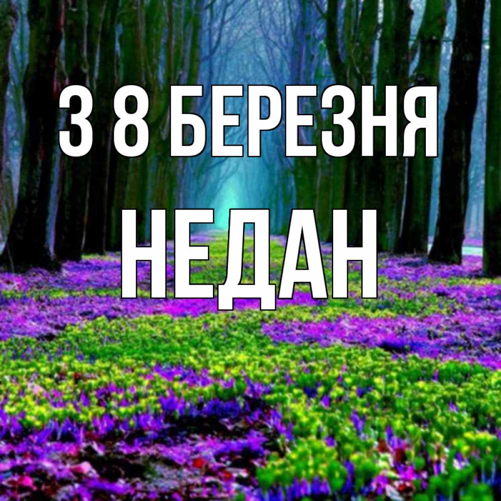 Открытка на каждый день з підписом, Недан З 8 БЕРЕЗНЯ фиолетовые цветы в лесу 1 Прикольна листівка з побажанням онлайн скачати безкоштовно 