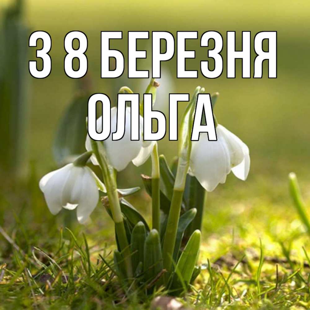 Открытка на каждый день з підписом, Ольга З 8 БЕРЕЗНЯ ранние цветы 2 Прикольна листівка з побажанням онлайн скачати безкоштовно 