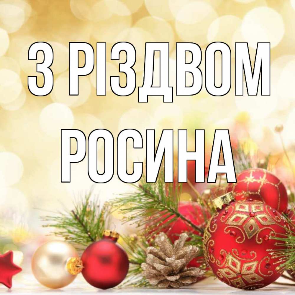 Открытка на каждый день з підписом, Росина З Різдвом с рождеством Прикольна листівка з побажанням онлайн скачати безкоштовно 